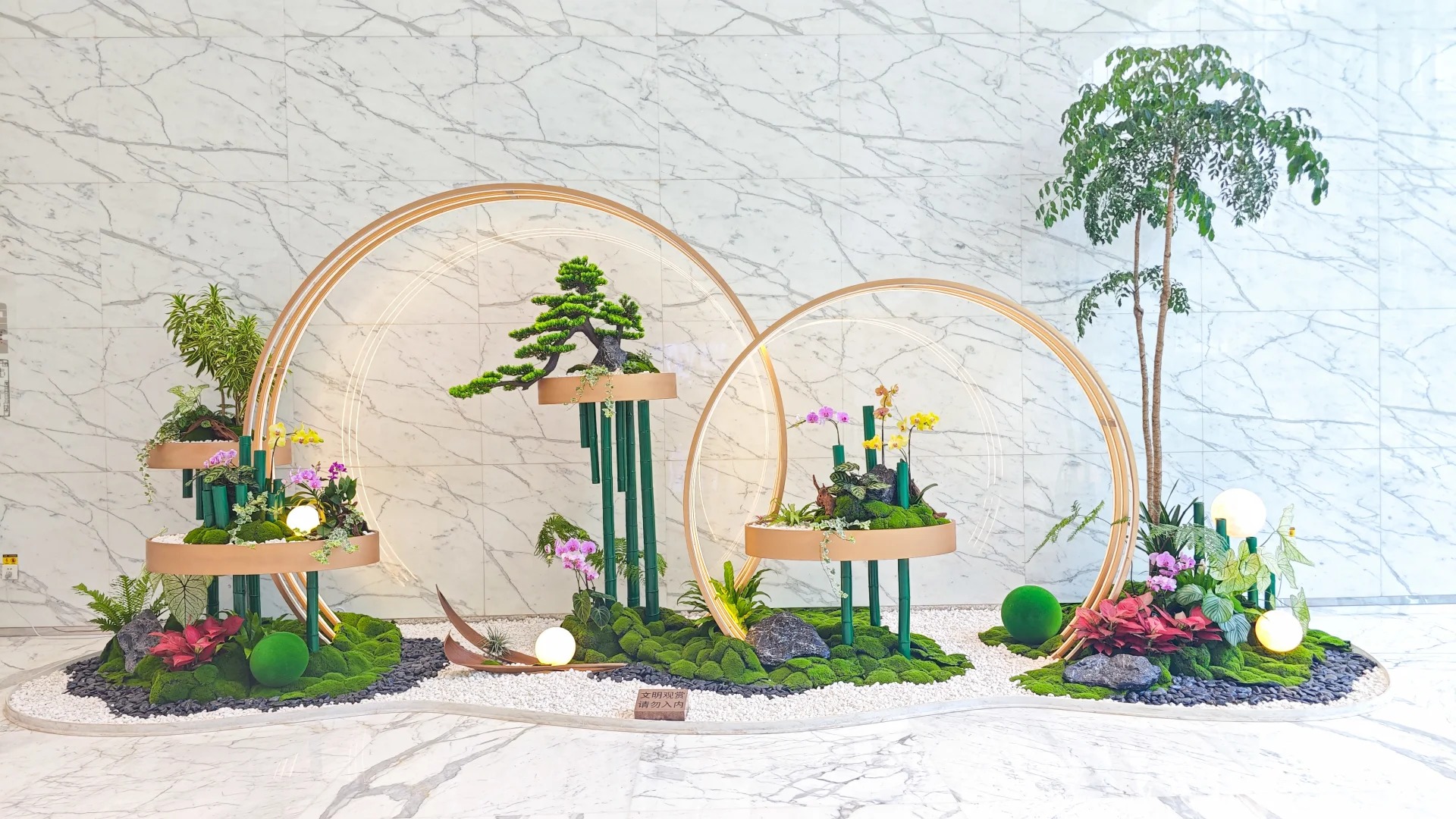 专业修剪前湾绿化，让城市焕发出勃勃生机与魅力